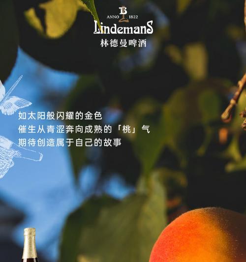 我的青春不散场-第1张图片-学作网