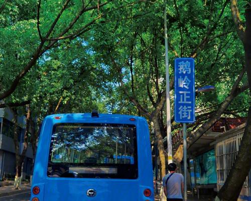 时间的主人（在光阴里寻找自我）-第2张图片-学作网