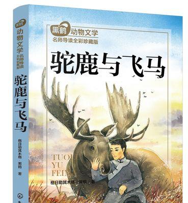 精神的钙质（用坚强的内心承担挫折和困难）-第3张图片-学作网