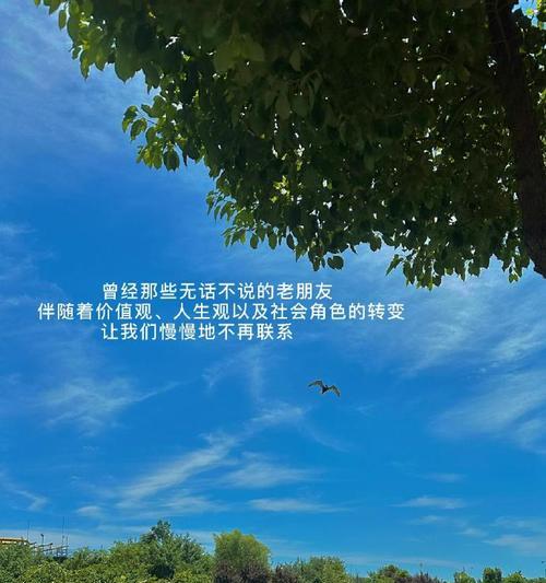 我和小明的美好时光（纯真年代，我们一起追逐梦想）-第1张图片-学作网