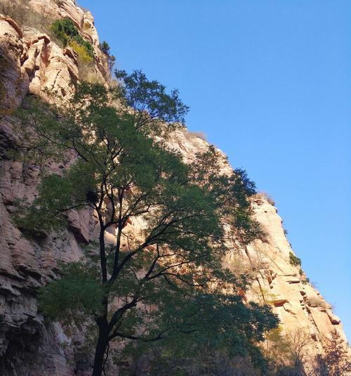 书山处处是风景（寻找自己的风景）-第1张图片-学作网