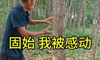 感动人心的故事（善良的小孩和无私的爱心）-第3张图片-学作网