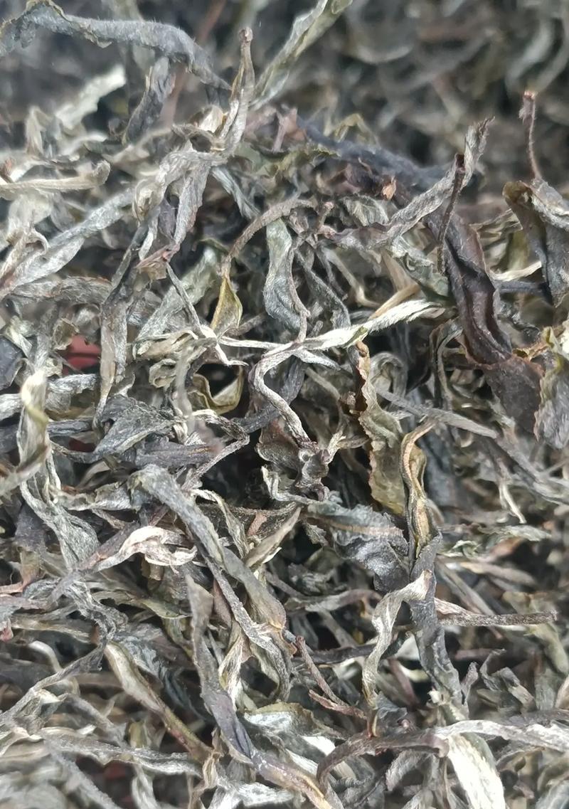 快乐源于努力（一位年轻人的奋斗史）-第2张图片-学作网
