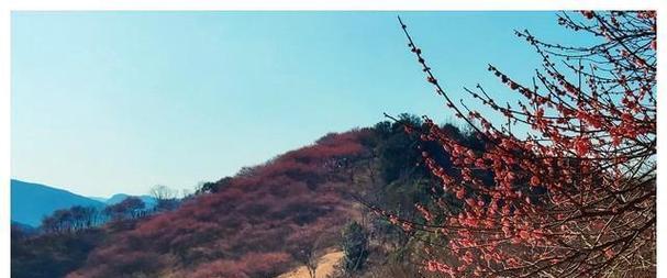 心中的风景（一个男孩的成长之路）-第3张图片-学作网