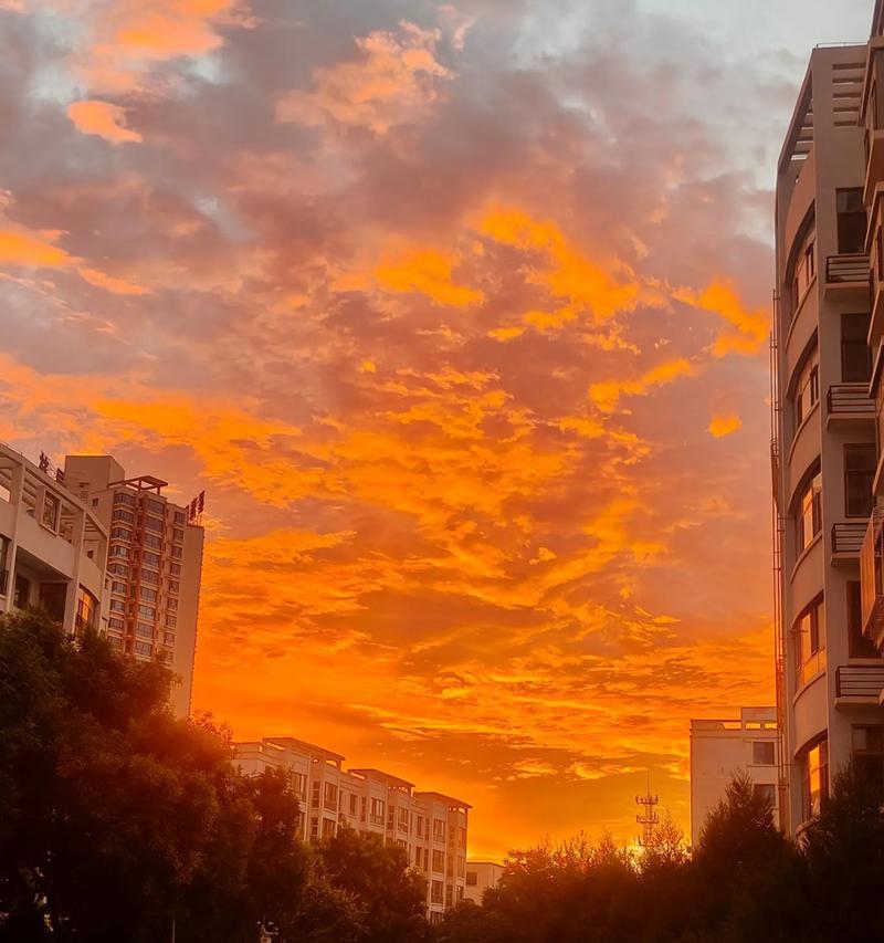 《自然之乐：山水间的灵感》-第2张图片-学作网