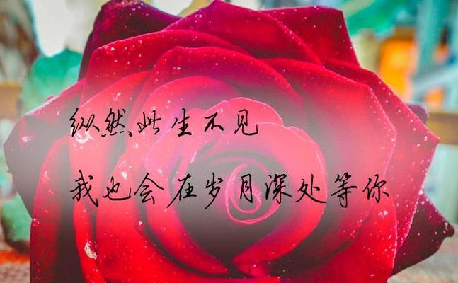 无私之爱（一位老人的故事）-第2张图片-学作网