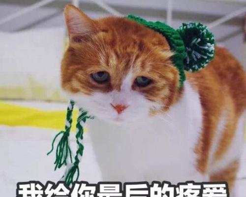无私之爱（一位老人的故事）-第3张图片-学作网