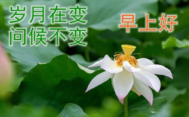 岁月多了一份快乐（让快乐在岁月中流淌）-第2张图片-学作网