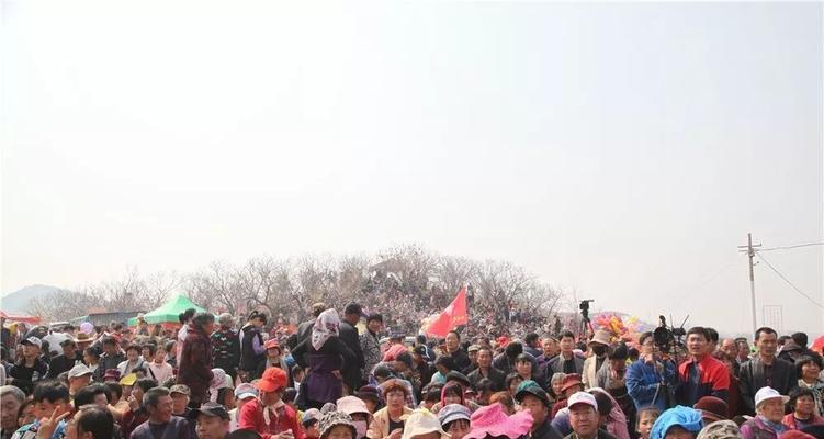 传统节日的魅力（一场别开生面的节日活动）-第2张图片-学作网