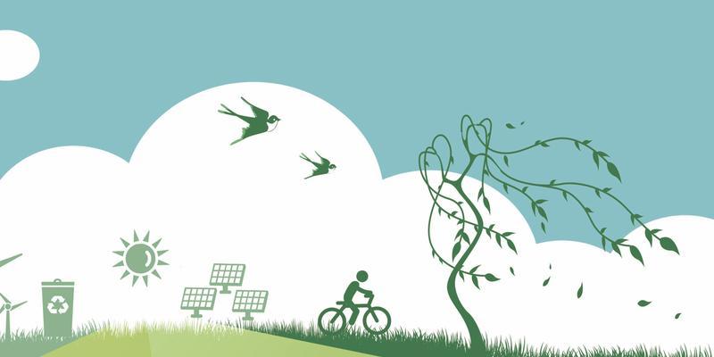 Spring,theSeasonofLife:AStoryofNewBeginnings-第2张图片-学作网