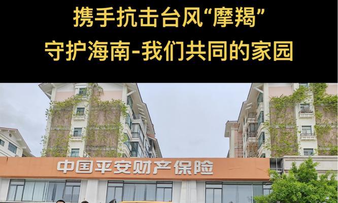 共同的家园（一个人与自然和谐共处的故事）-第1张图片-学作网