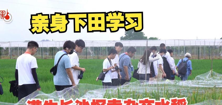 培育好种子（以毅力和耐心迎接未来）-第2张图片-学作网
