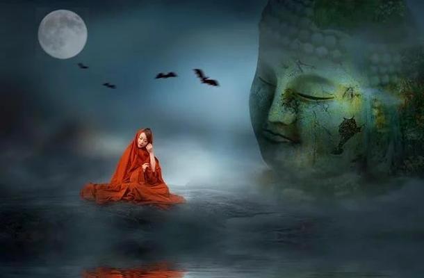 懂得珍惜，人生更美好（从一只小鸟的故事，看待珍惜的重要性）-第1张图片-学作网