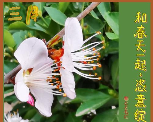 春天的生机勃勃-第3张图片-学作网