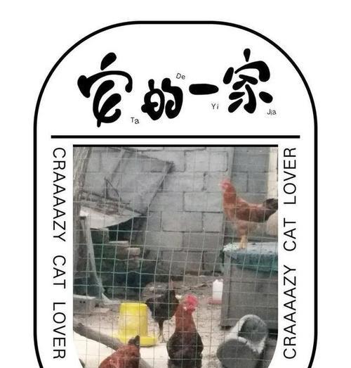 青春岁月下的美好回忆（勇敢追梦，收获成功）-第1张图片-学作网