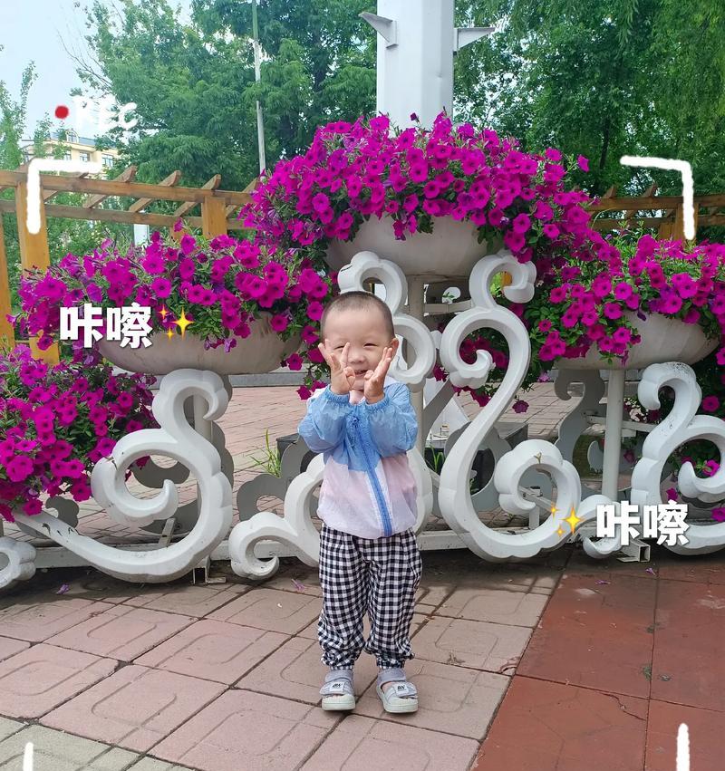 成长之路静悄悄（用行动证明了成长就是静悄悄地积累）-第1张图片-学作网