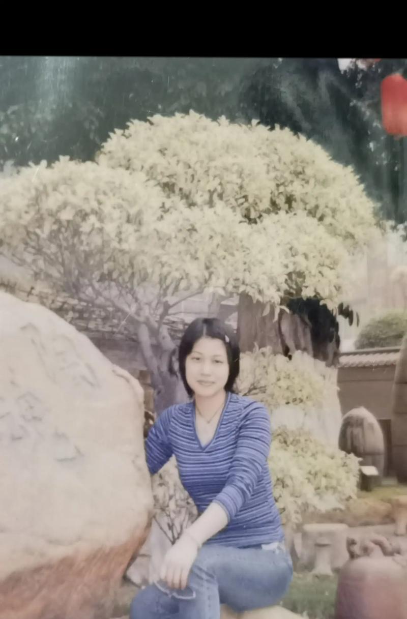 一个追逐理想的故事（一个追逐理想的故事）-第3张图片-学作网