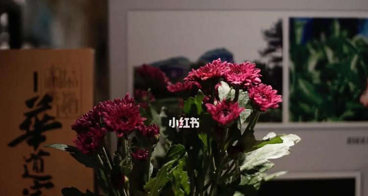 那个珍爱生命的女孩（感恩每一个日出和日落）-第2张图片-学作网