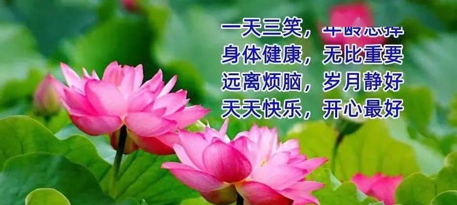 从小伙伴到终身朋友——一段不可分离的友谊之旅（从小伙伴到终身朋友——一段不可分离的友谊之旅）-第1张图片-学作网