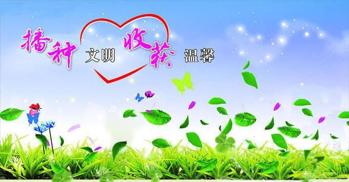 一份收获（努力之后的喜悦）-第3张图片-学作网