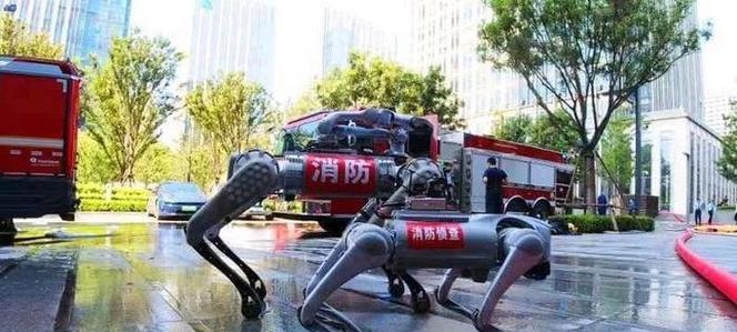 小林的消防英雄之旅（她在火海中寻找生命的希望）-第1张图片-学作网
