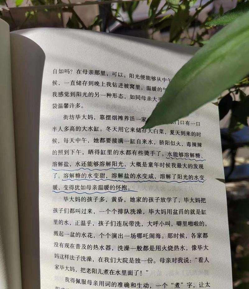 阳光女孩的正能量（在生活的低谷中找到自我）-第3张图片-学作网