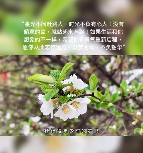不负有心人（从一无所有到铺天盖地）-第2张图片-学作网