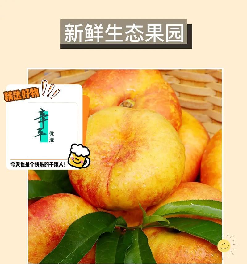 一个寻找彩虹的小女孩的故事（一个寻找彩虹的小女孩的故事）-第2张图片-学作网