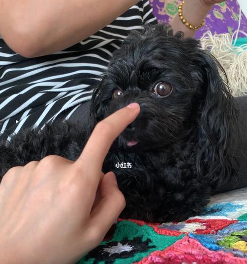 当母亲沉迷于手机世界时，她又是谁？（当母亲沉迷于手机世界时，她又是谁？）-第3张图片-学作网