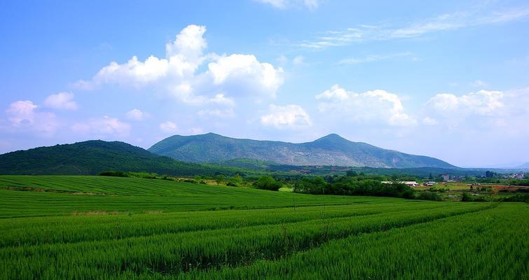田园风光（田园生活的美好）-第2张图片-学作网