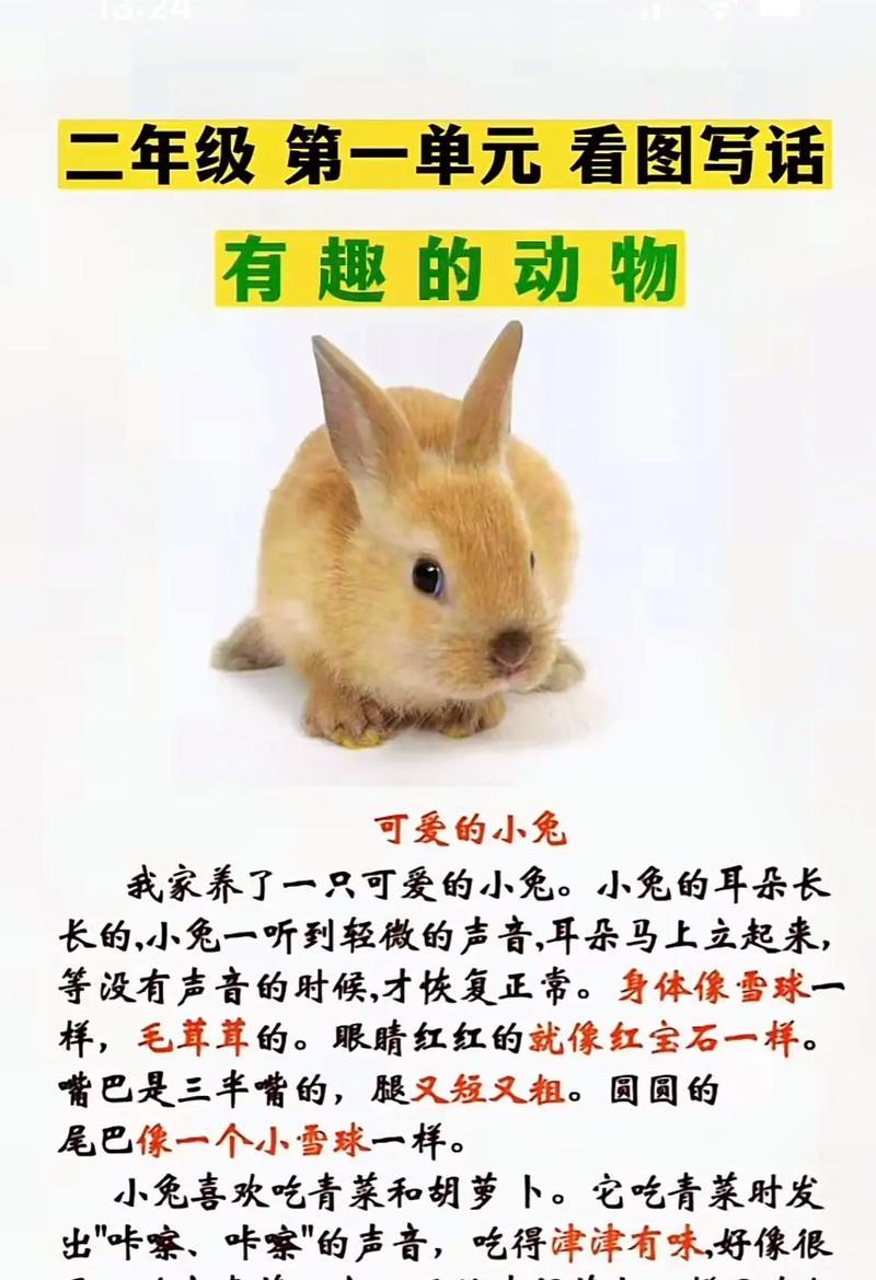 有趣的动物们（妙趣横生的动物趣事）-第3张图片-学作网