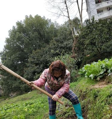 农民伯伯的鼓励（勇敢追梦，不放弃努力）-第1张图片-学作网
