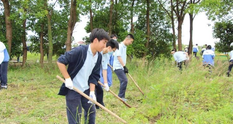 农民伯伯的鼓励（勇敢追梦，不放弃努力）-第2张图片-学作网