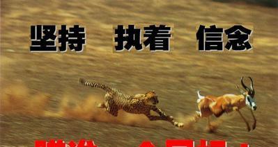 成功只能来自于努力（一个人物的奋斗故事）-第2张图片-学作网