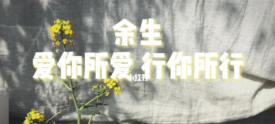 以这也是一种爱（陪伴与理解）-第1张图片-学作网
