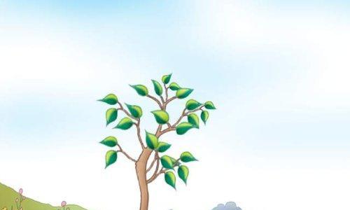 生命的点滴——一棵树的成长日志（它在岁月的轨迹上留下一段段感人的故事）-第3张图片-学作网