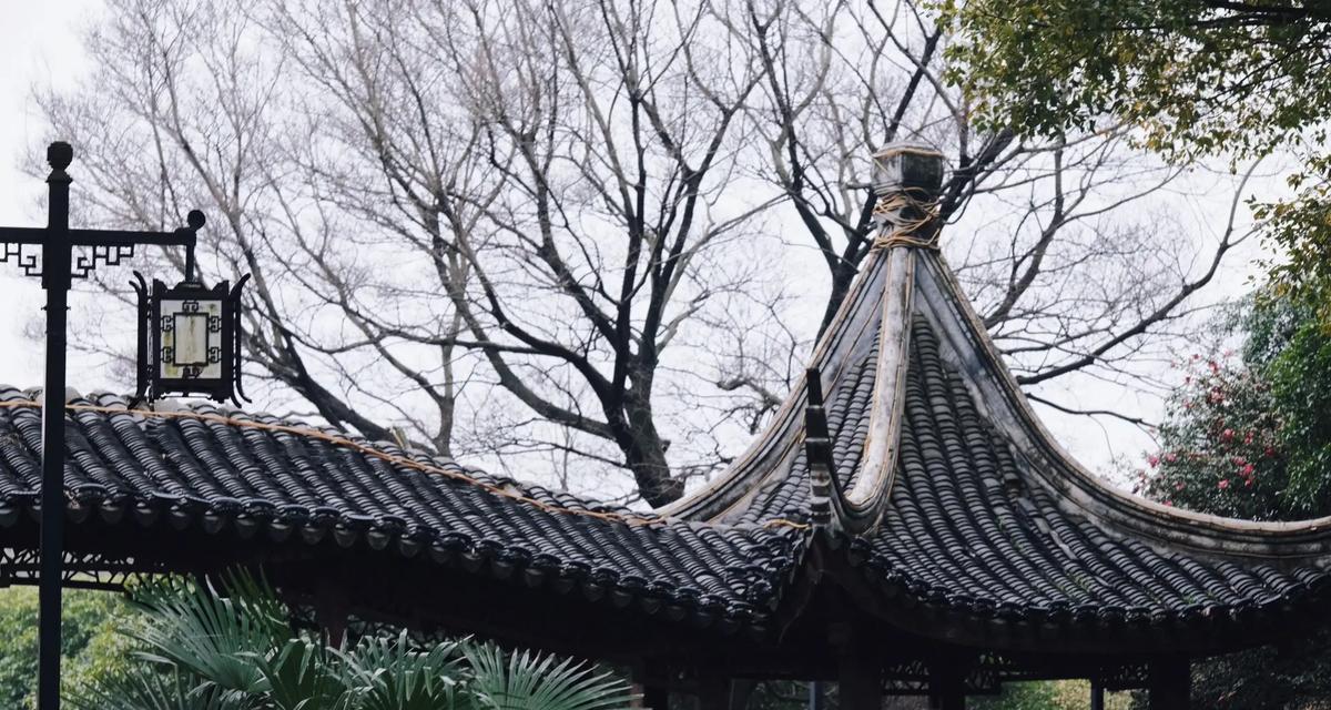 一次和朋友们的美好旅行（欢笑、美食和美景的完美组合）-第2张图片-学作网