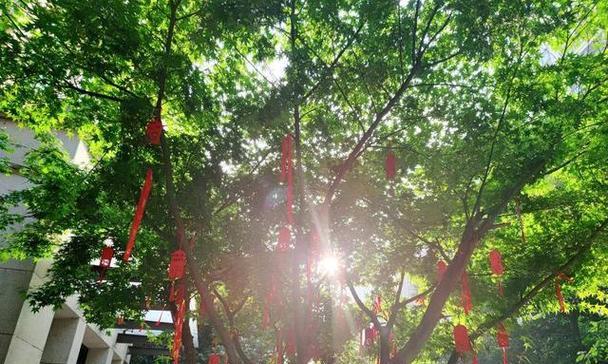 梦想的喝彩（那个坚持自己梦想的少年）-第1张图片-学作网