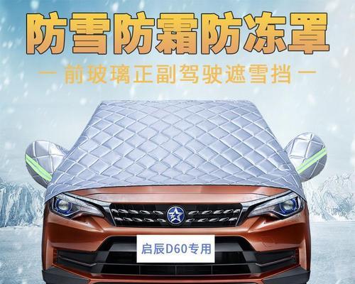冬日的雪景-第1张图片-学作网