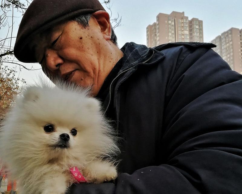我和狗狗的深情故事：一只狗，一份真情，一生相伴-第1张图片-学作网