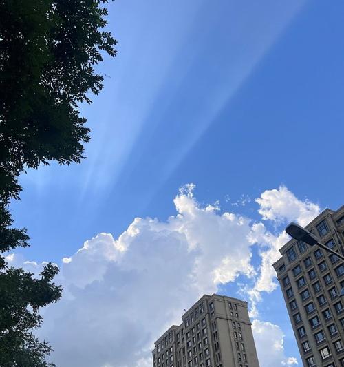 生活不是花样年华，而是你的全部（管理好时间，做好自己，实现梦想）-第3张图片-学作网