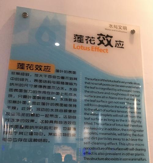探秘未来之旅（畅游奇妙的科技馆）-第1张图片-学作网
