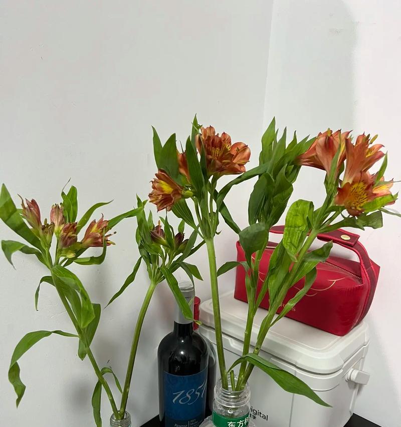 春天的花语（勃勃生机，回归自然）-第2张图片-学作网