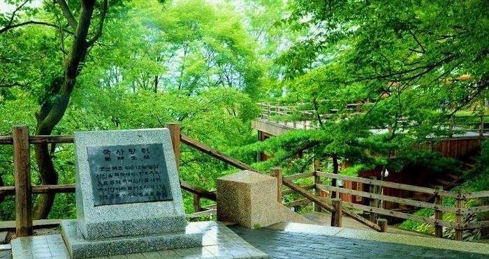 南山公园（探秘南山公园之旅）-第3张图片-学作网