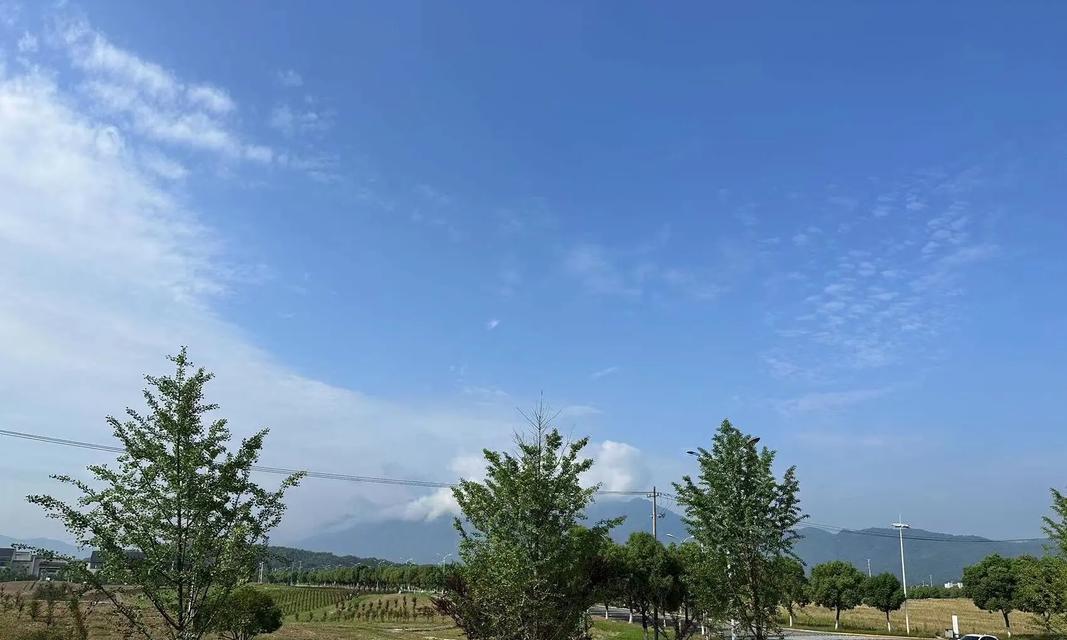 风雨中的彩虹（少年的成长历程）-第1张图片-学作网
