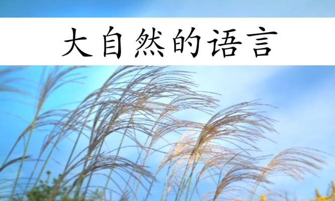 读懂大自然的语言-第2张图片-学作网