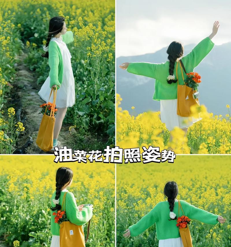 绿树成荫下的温暖（爱在心头绽放）-第2张图片-学作网
