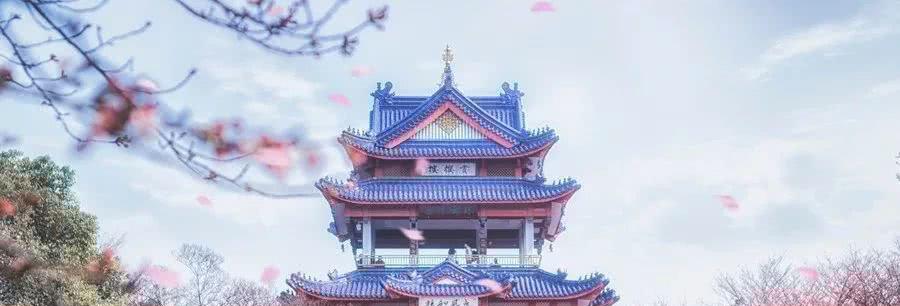 春天的美好（在春天里享受生命中的快乐）-第2张图片-学作网