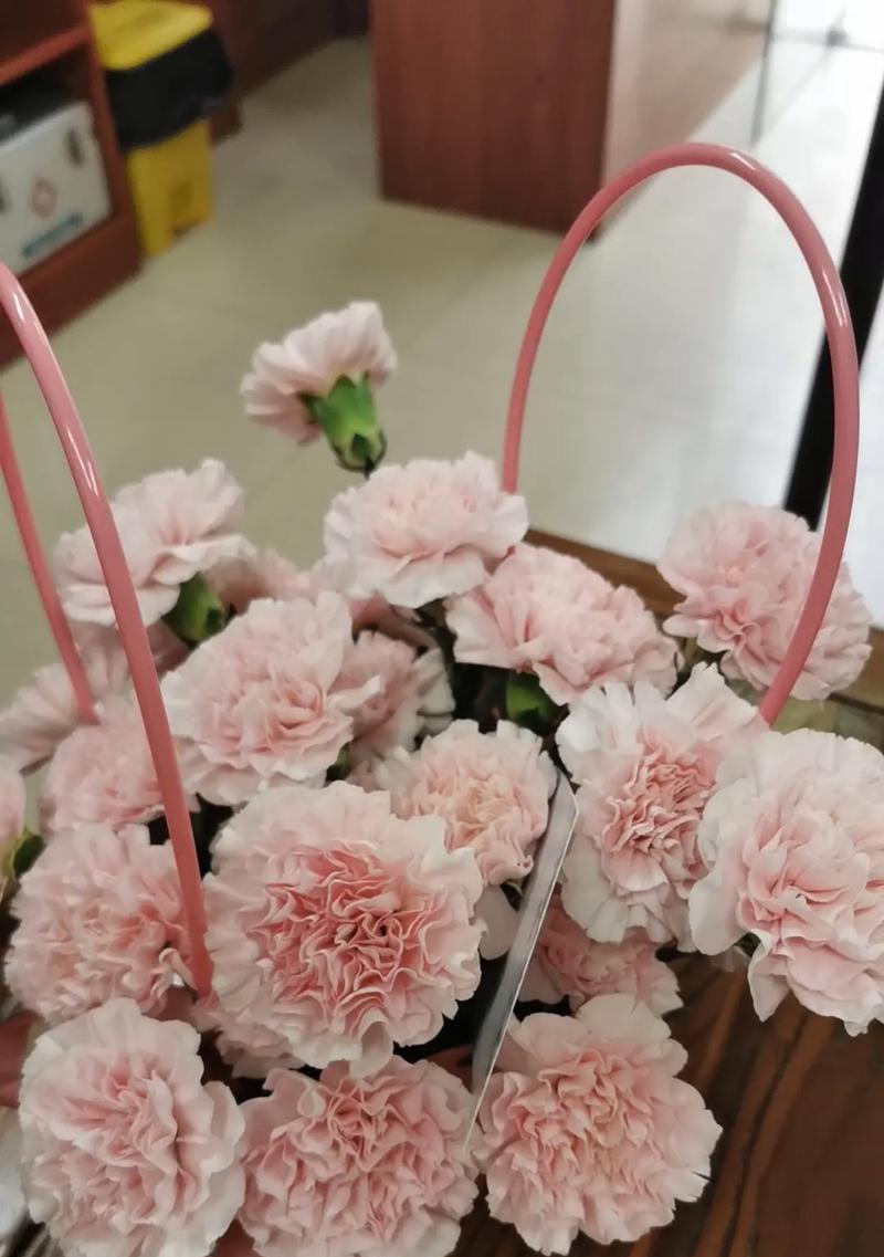 母亲的幸福节日（一个永难忘怀的经历）-第1张图片-学作网