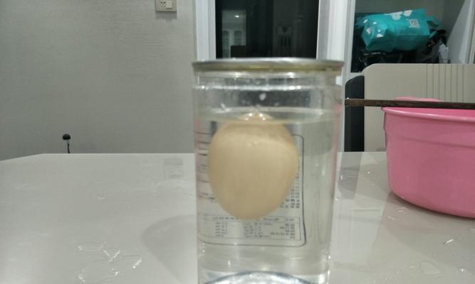 小鱼儿和他的实验（通过盐水浮鸡蛋实验，发现科学的奥妙）-第2张图片-学作网